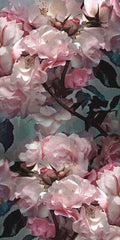 CSBR2440