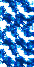 CSBR3369
