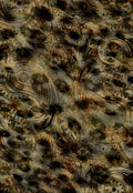 CSBR438