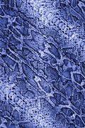CSBR486