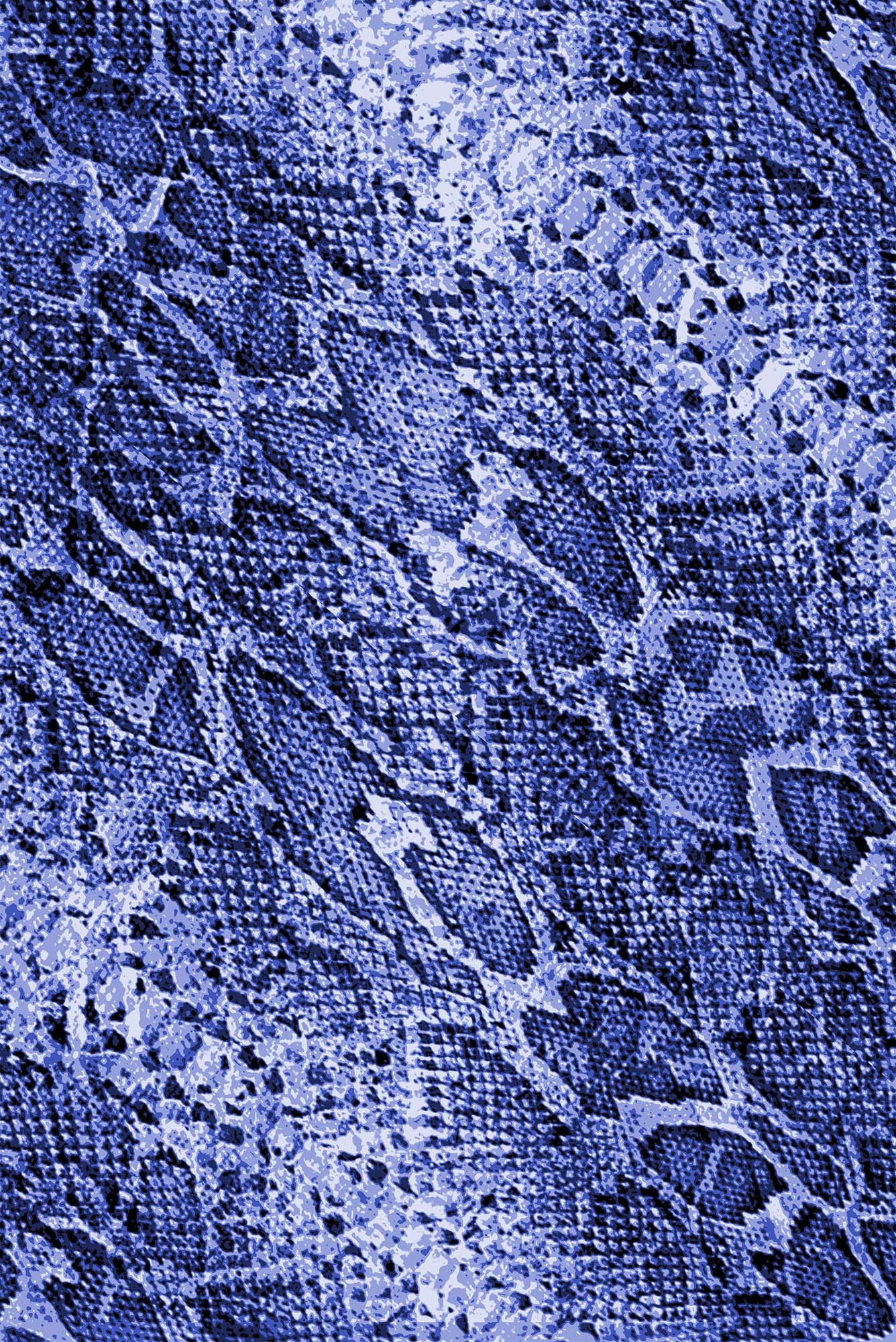 CSBR486