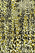 CSBR492
