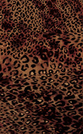 CSBR494