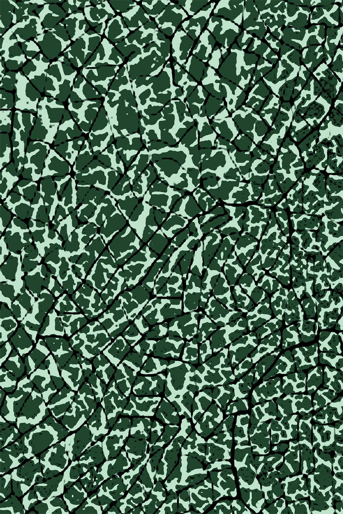 CSBR512